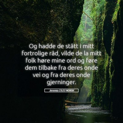 Picture 05 - Jeremia 23:22 NORSK - Og hadde de stått i mitt fortrolige råd, vilde - Bible Verse Picture