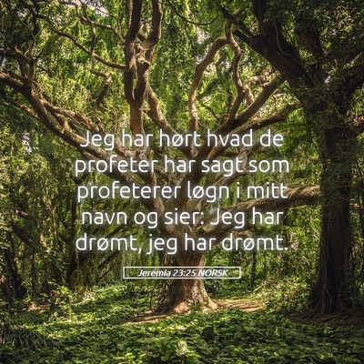 Picture 05 - Jeremia 23:25 NORSK - Jeg har hørt hvad de profeter har sagt som - Bible Verse Picture