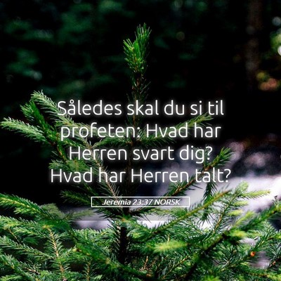 Picture 05 - Jeremia 23:37 NORSK - Således skal du si til profeten: Hvad har Herren - Bible Verse Picture