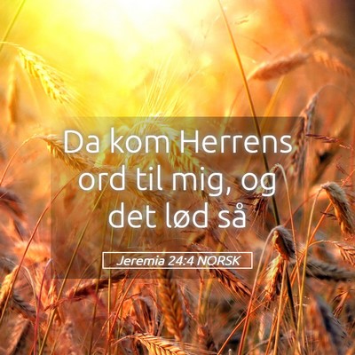 Picture 05 - Jeremia 24:4 NORSK - Da kom Herrens ord til mig, og det lød - Bible Verse Picture