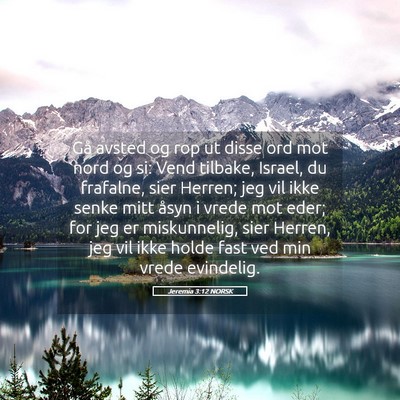 Picture 05 - Jeremia 3:12 NORSK - Gå avsted og rop ut disse ord mot nord og si: - Bible Verse Picture