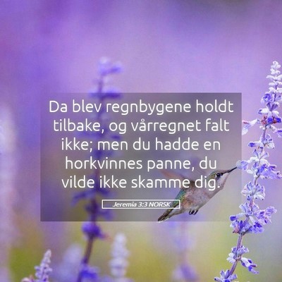 Picture 05 - Jeremia 3:3 NORSK - Da blev regnbygene holdt tilbake, og vårregnet - Bible Verse Picture