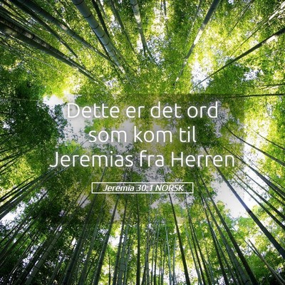 Picture 05 - Jeremia 30:1 NORSK - Dette er det ord som kom til Jeremias fra - Bible Verse Picture