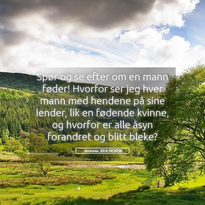 Picture 05 - Jeremia 30:6 NORSK - Spør og se efter om en mann føder! Hvorfor ser - Bible Verse Picture