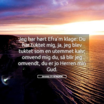 Picture 05 - Jeremia 31:18 NORSK - Jeg har hørt Efra'm klage: Du har tuktet mig, - Bible Verse Picture