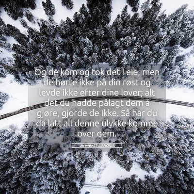 Picture 05 - Jeremia 32:23 NORSK - Og de kom og tok det i eie, men de hørte ikke - Bible Verse Picture