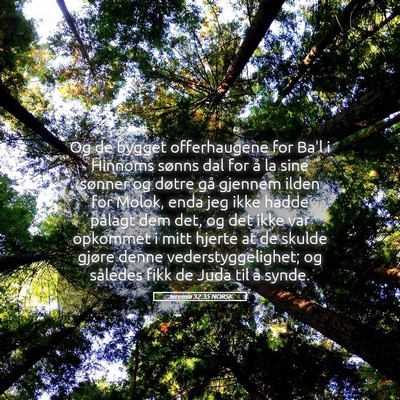 Picture 05 - Jeremia 32:35 NORSK - Og de bygget offerhaugene for Ba'l i Hinnoms - Bible Verse Picture