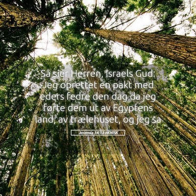 Picture 05 - Jeremia 34:13 NORSK - Så sier Herren, Israels Gud: Jeg oprettet en - Bible Verse Picture