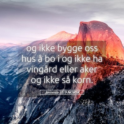 Picture 05 - Jeremia 35:9 NORSK - og ikke bygge oss hus å bo i og ikke ha vingård - Bible Verse Picture