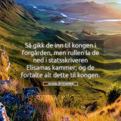 Picture 05 - Jeremia 36:20 NORSK - Så gikk de inn til kongen i forgården, men - Bible Verse Picture