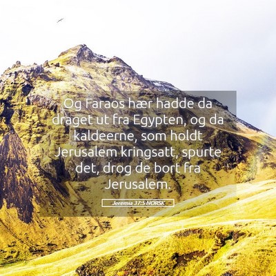 Picture 05 - Jeremia 37:5 NORSK - Og Faraos hær hadde da draget ut fra Egypten, og - Bible Verse Picture
