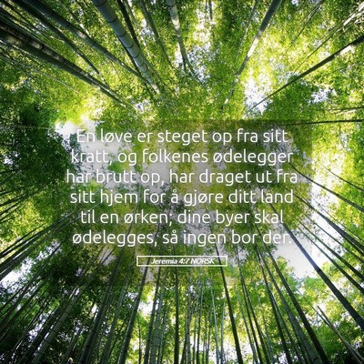 Picture 05 - Jeremia 4:7 NORSK - En løve er steget op fra sitt kratt, og folkenes - Bible Verse Picture