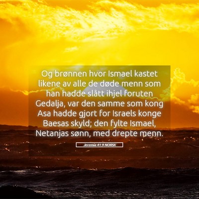 Picture 05 - Jeremia 41:9 NORSK - Og brønnen hvor Ismael kastet likene av alle de - Bible Verse Picture