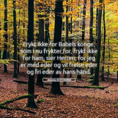 Picture 05 - Jeremia 42:11 NORSK - Frykt ikke for Babels konge, som I nu frykter - Bible Verse Picture