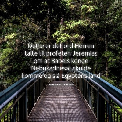 Picture 05 - Jeremia 46:13 NORSK - Dette er det ord Herren talte til profeten - Bible Verse Picture