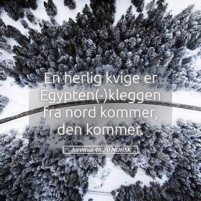 Picture 05 - Jeremia 46:20 NORSK - En herlig kvige er Egypten(-)kleggen fra nord - Bible Verse Picture