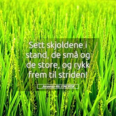 Picture 05 - Jeremia 46:3 NORSK - Sett skjoldene i stand, de små og de store, og - Bible Verse Picture