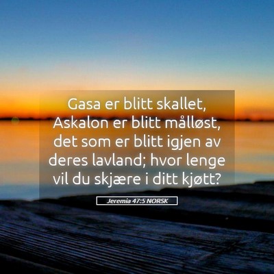 Picture 05 - Jeremia 47:5 NORSK - Gasa er blitt skallet, Askalon er blitt - Bible Verse Picture