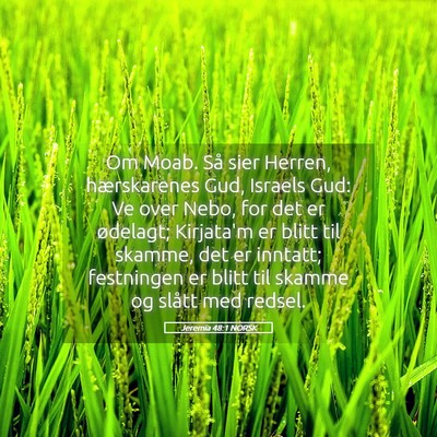 Picture 05 - Jeremia 48:1 NORSK - Om Moab. Så sier Herren, hærskarenes Gud, - Bible Verse Picture