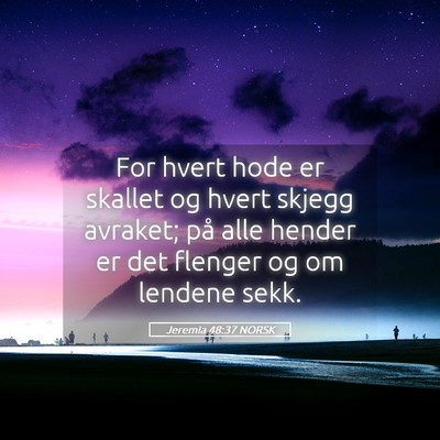 Picture 05 - Jeremia 48:37 NORSK - For hvert hode er skallet og hvert skjegg - Bible Verse Picture