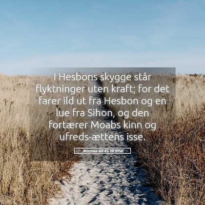 Picture 05 - Jeremia 48:45 NORSK - I Hesbons skygge står flyktninger uten kraft; - Bible Verse Picture