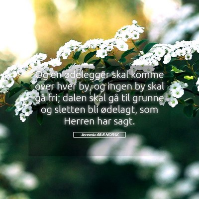 Picture 05 - Jeremia 48:8 NORSK - Og en ødelegger skal komme over hver by, og - Bible Verse Picture