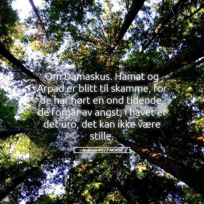 Picture 05 - Jeremia 49:23 NORSK - Om Damaskus. Hamat og Arpad er blitt til skamme, - Bible Verse Picture
