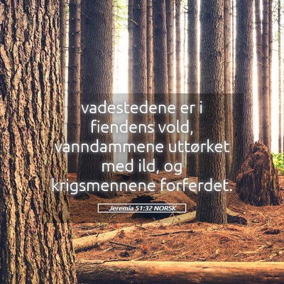 Picture 05 - Jeremia 51:32 NORSK - vadestedene er i fiendens vold, vanndammene - Bible Verse Picture