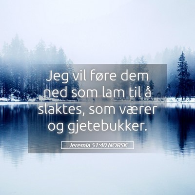 Picture 05 - Jeremia 51:40 NORSK - Jeg vil føre dem ned som lam til å slaktes, som - Bible Verse Picture