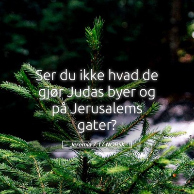 Picture 05 - Jeremia 7:17 NORSK - Ser du ikke hvad de gjør Judas byer og på - Bible Verse Picture