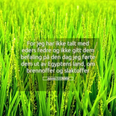 Picture 05 - Jeremia 7:22 NORSK - For jeg har ikke talt med eders fedre og ikke - Bible Verse Picture