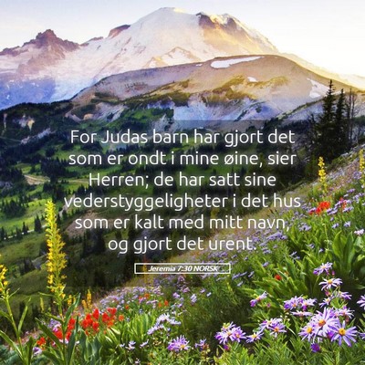 Picture 05 - Jeremia 7:30 NORSK - For Judas barn har gjort det som er ondt i mine - Bible Verse Picture