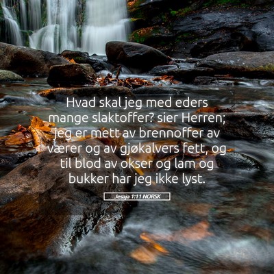 Picture 05 - Jesaja 1:11 NORSK - Hvad skal jeg med eders mange slaktoffer? sier - Bible Verse Picture