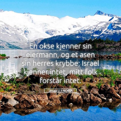 Picture 05 - Jesaja 1:3 NORSK - En okse kjenner sin eiermann, og et asen sin - Bible Verse Picture