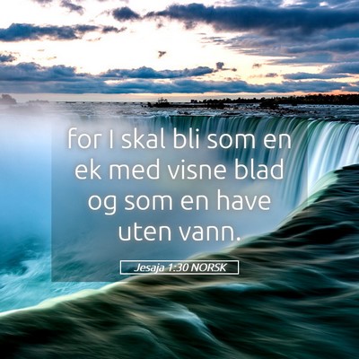 Picture 05 - Jesaja 1:30 NORSK - for I skal bli som en ek med visne blad og som en - Bible Verse Picture