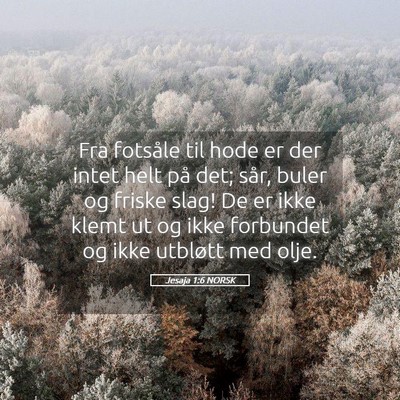 Picture 05 - Jesaja 1:6 NORSK - Fra fotsåle til hode er der intet helt på det; - Bible Verse Picture