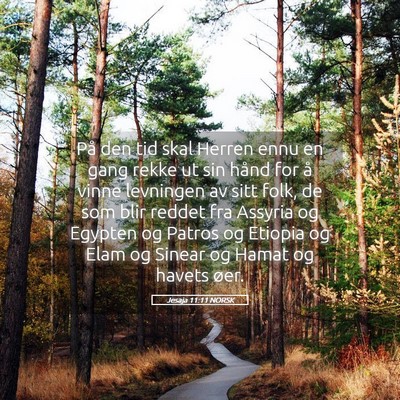 Picture 05 - Jesaja 11:11 NORSK - På den tid skal Herren ennu en gang rekke ut sin - Bible Verse Picture