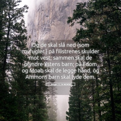 Picture 05 - Jesaja 11:14 NORSK - Og de skal slå ned {som rovfugler.} på - Bible Verse Picture