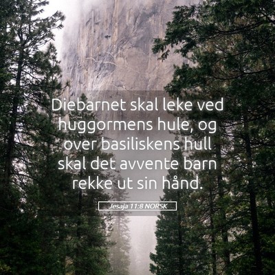 Picture 05 - Jesaja 11:8 NORSK - Diebarnet skal leke ved huggormens hule, og over - Bible Verse Picture