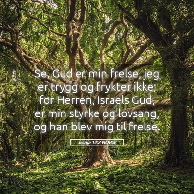 Picture 05 - Jesaja 12:2 NORSK - Se, Gud er min frelse, jeg er trygg og frykter - Bible Verse Picture
