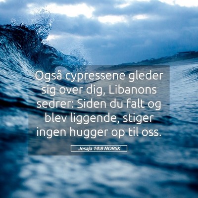 Picture 05 - Jesaja 14:8 NORSK - Også cypressene gleder sig over dig, Libanons - Bible Verse Picture