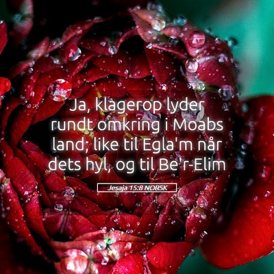 Picture 05 - Jesaja 15:8 NORSK - Ja, klagerop lyder rundt omkring i Moabs land; - Bible Verse Picture