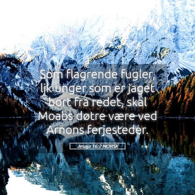 Picture 05 - Jesaja 16:2 NORSK - Som flagrende fugler, lik unger som er jaget bort - Bible Verse Picture