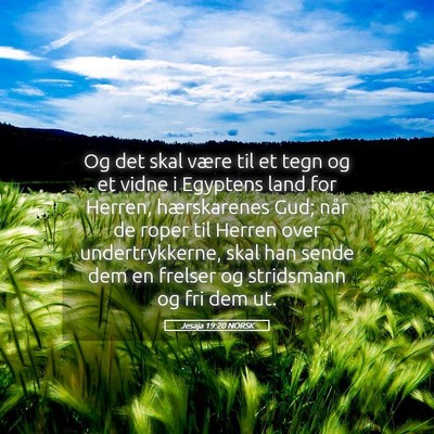 Picture 05 - Jesaja 19:20 NORSK - Og det skal være til et tegn og et vidne i - Bible Verse Picture