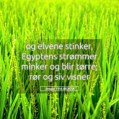 Picture 05 - Jesaja 19:6 NORSK - og elvene stinker, Egyptens strømmer minker og - Bible Verse Picture
