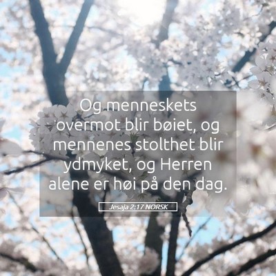 Picture 05 - Jesaja 2:17 NORSK - Og menneskets overmot blir bøiet, og mennenes - Bible Verse Picture