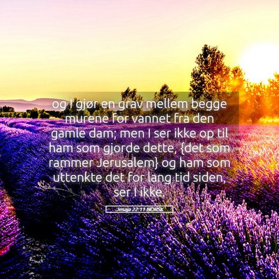 Picture 05 - Jesaja 22:11 NORSK - og I gjør en grav mellem begge murene for vannet - Bible Verse Picture