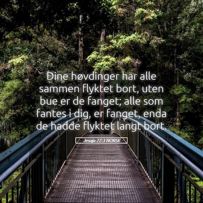Picture 05 - Jesaja 22:3 NORSK - Dine høvdinger har alle sammen flyktet bort, - Bible Verse Picture