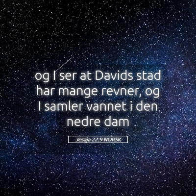 Picture 05 - Jesaja 22:9 NORSK - og I ser at Davids stad har mange revner, og I - Bible Verse Picture