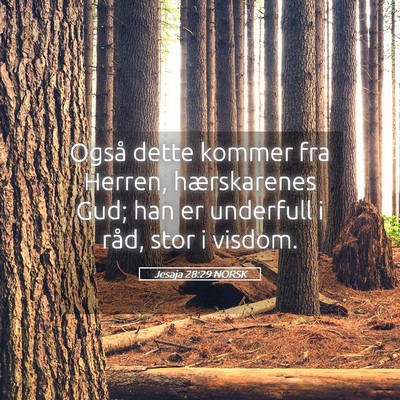 Picture 05 - Jesaja 28:29 NORSK - Også dette kommer fra Herren, hærskarenes Gud; - Bible Verse Picture